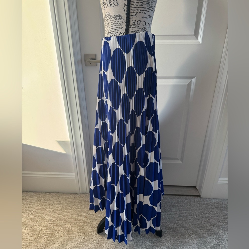 ShopEvelynne Navy and White Maxi Skirt - Picture 4 of 7